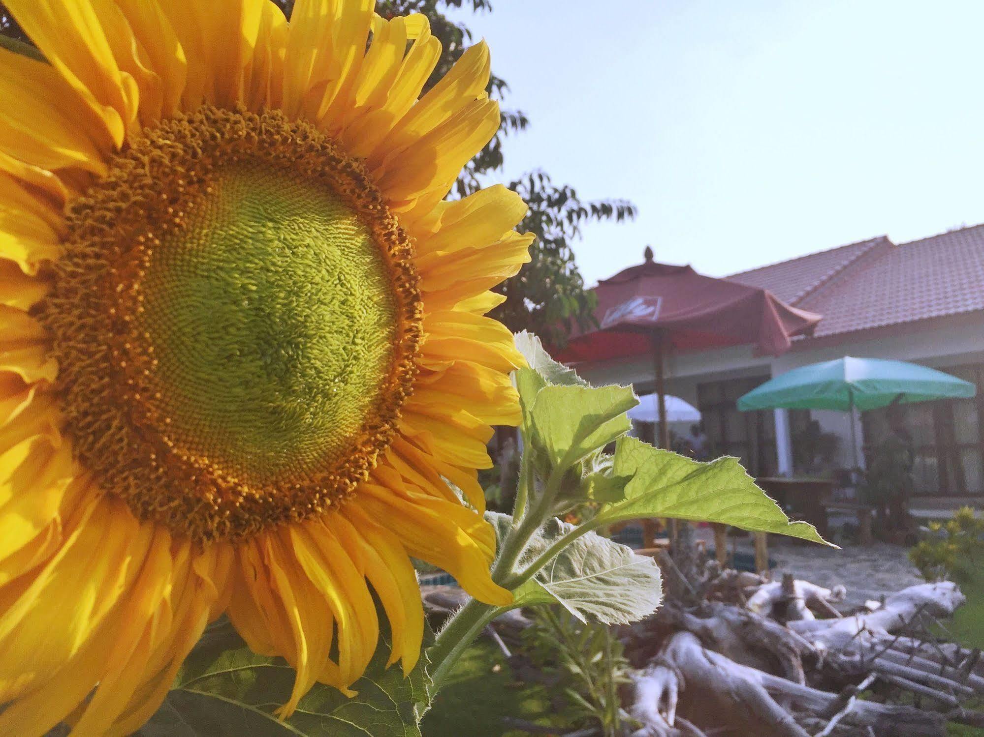 Tree Roots Retreat Hotel ระยอง ภายนอก รูปภาพ